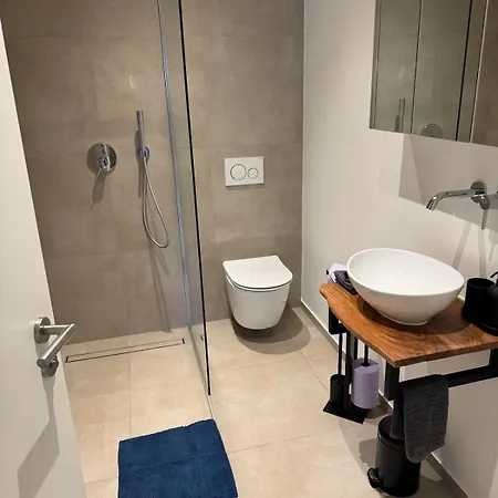 Pfalzperle - Historic Luxury Duplex