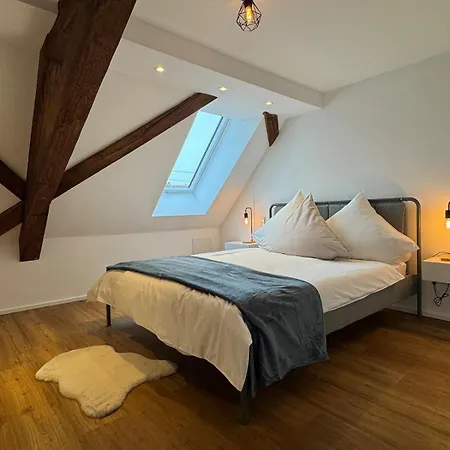公寓 Pfalzperle - Historic Luxury Duplex Albersweiler