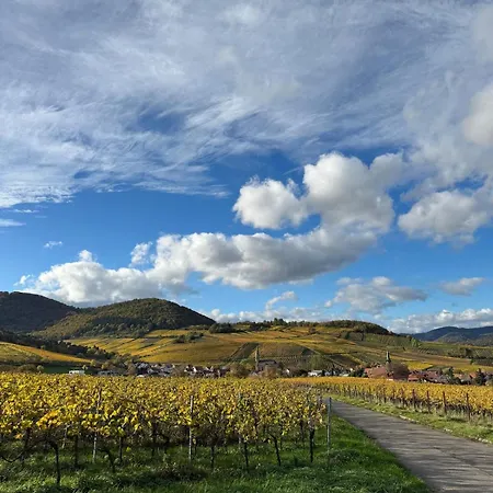 Pfalzperle - Historic Luxury Duplex Daire Albersweiler