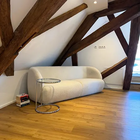 Pfalzperle - Historic Luxury Duplex * Albersweiler