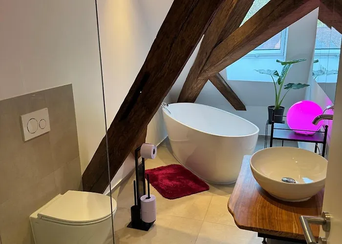 Pfalzperle - Historic Luxury Duplex * Albersweiler