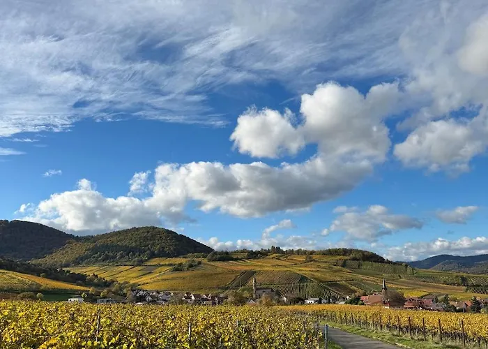 Pfalzperle - Historic Luxury Duplex Apartamento Albersweiler